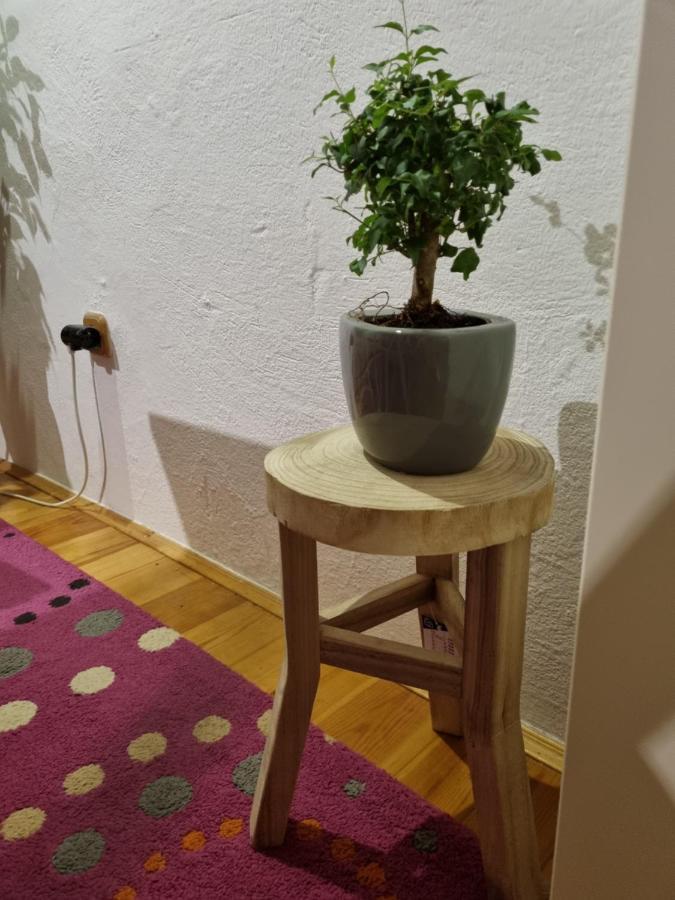 Martin'S House Apartment Екстериор снимка